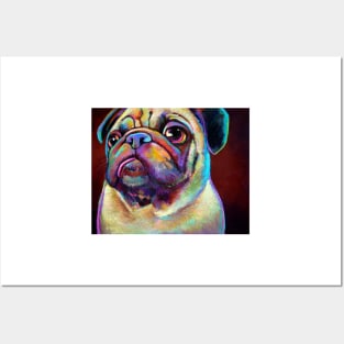 Cute PUG by Robert Phelps Posters and Art